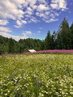 Двухместный Сафари-тент с горячим чаном с красивым видом из окна 2 отдельные кровати, Глэмпинг Мармар, Харлу