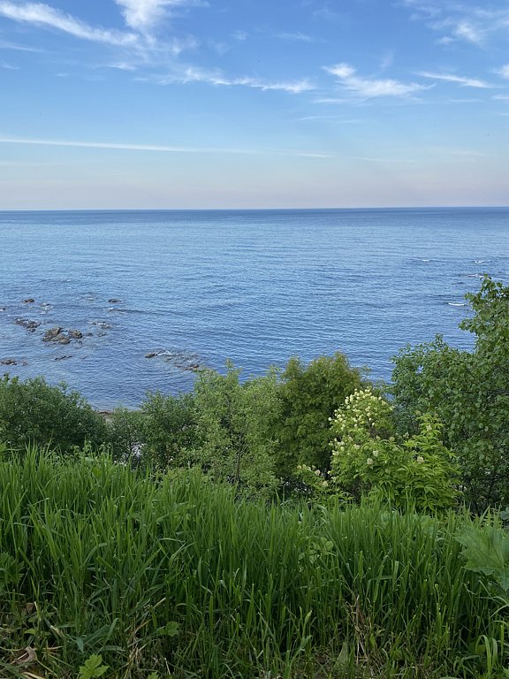 Фото из отзыва от 13.06.2025