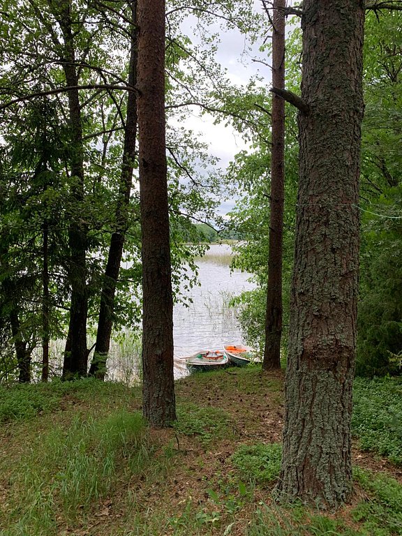 Фото из отзыва от 12.06.2025