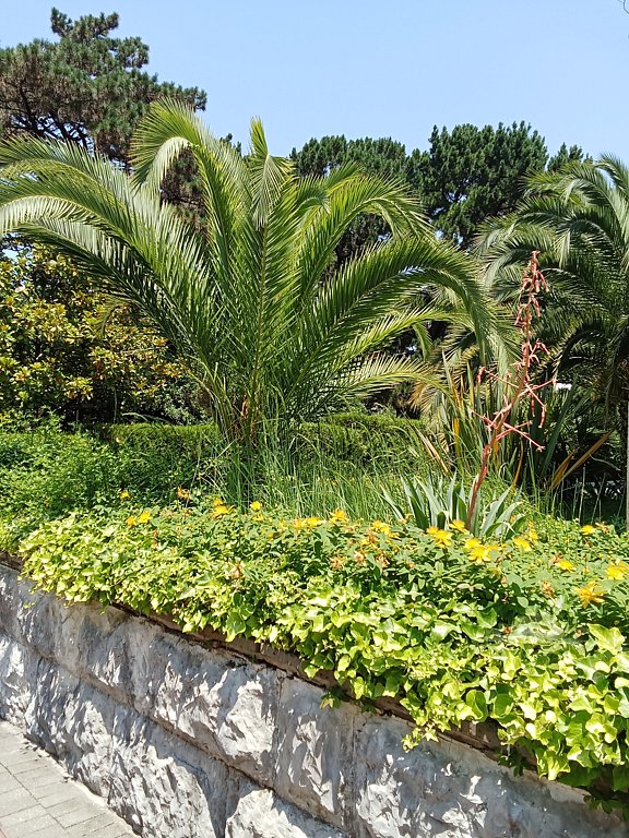 Фото из отзыва от 09.06.2025