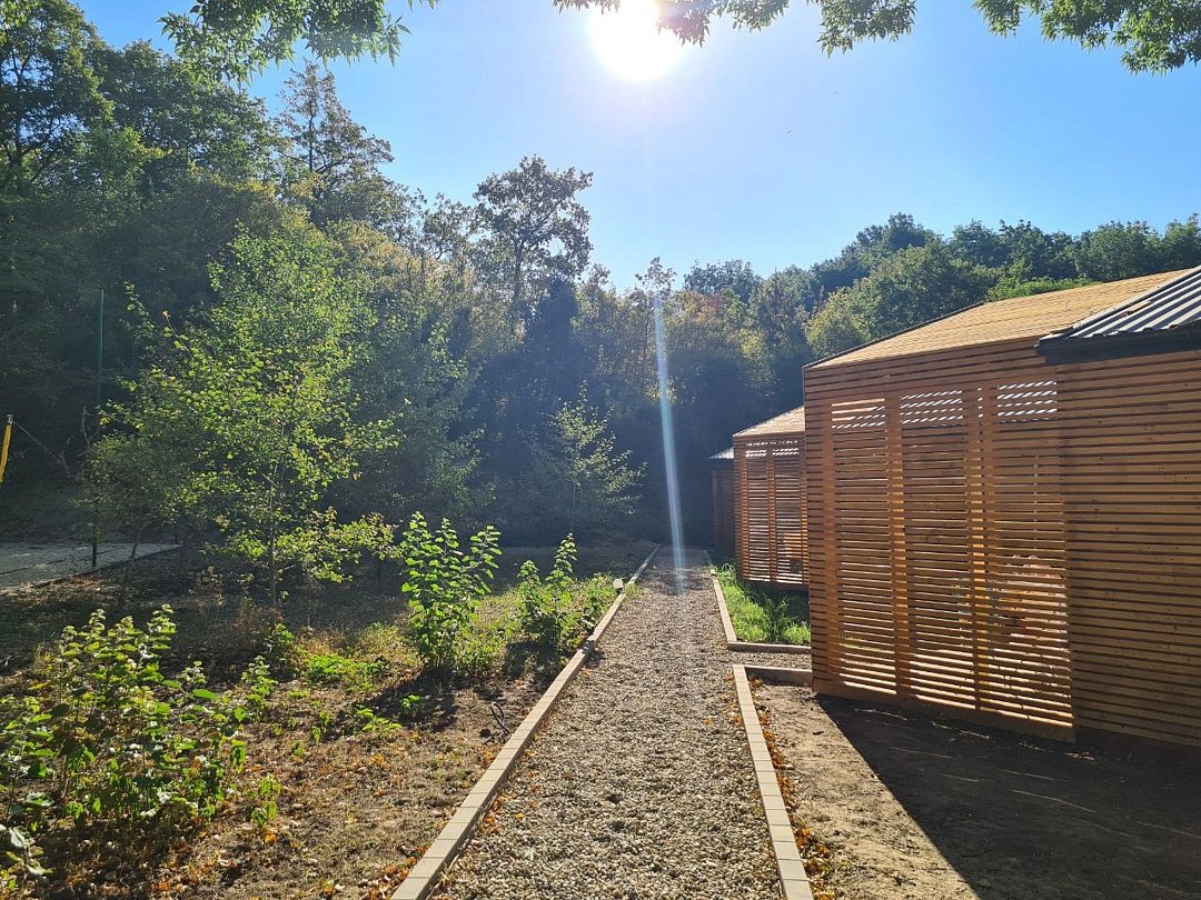 Коттедж 4-местный 2-комнатный (вид на лес)