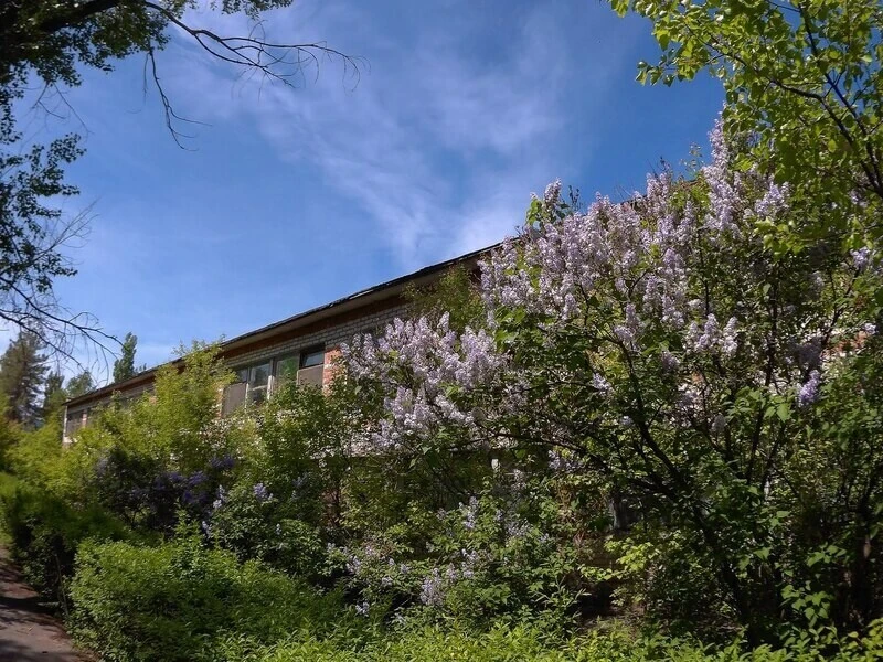 Орленок на Ахтубе, Волгоградская область: фото 2