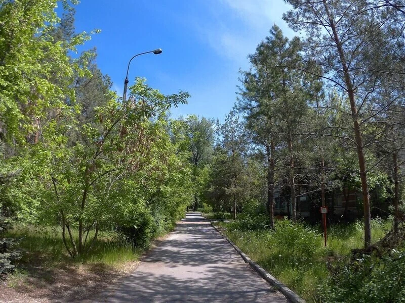 Орленок на Ахтубе, Волгоградская область: фото 4