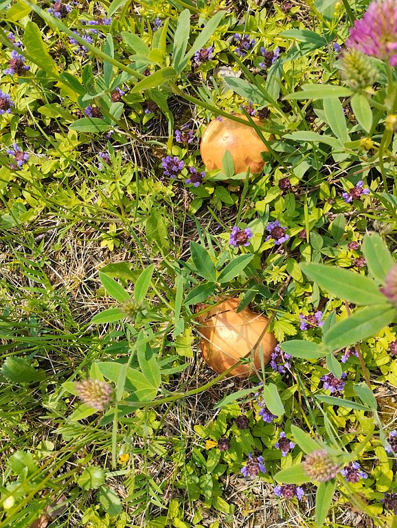 Фото из отзыва от 13.06.2025