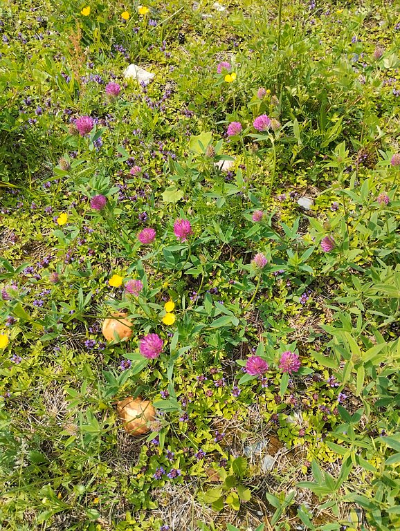 Фото из отзыва от 13.06.2025