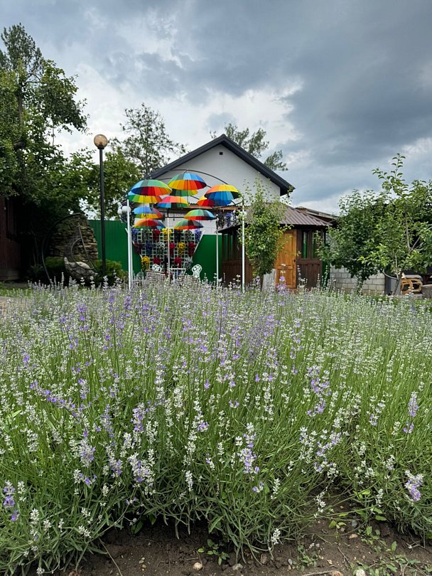 Гостевой дом Отдых у реки, Республика Адыгея, Майкоп