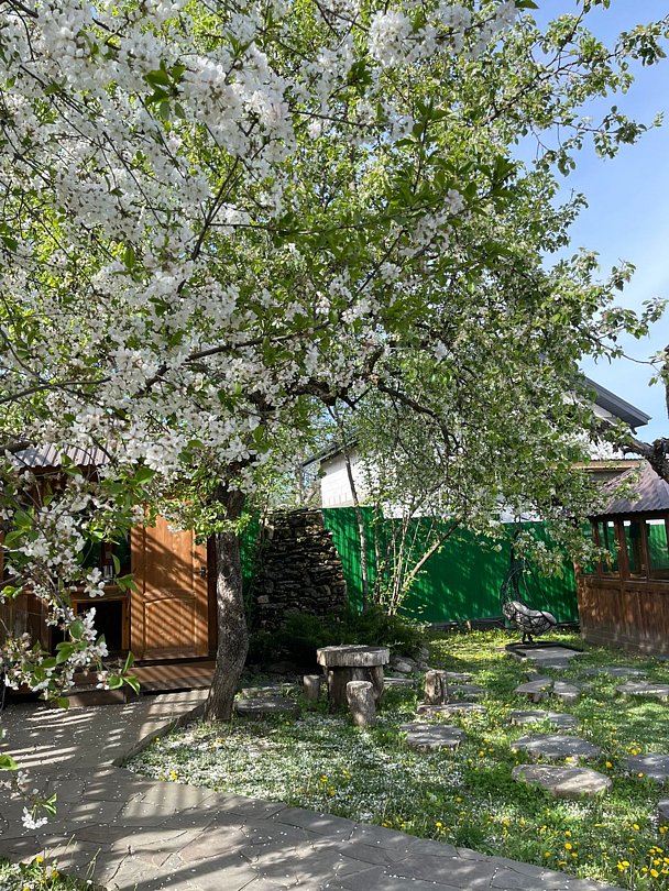 Отдых у реки, Республика Адыгея: фото 4