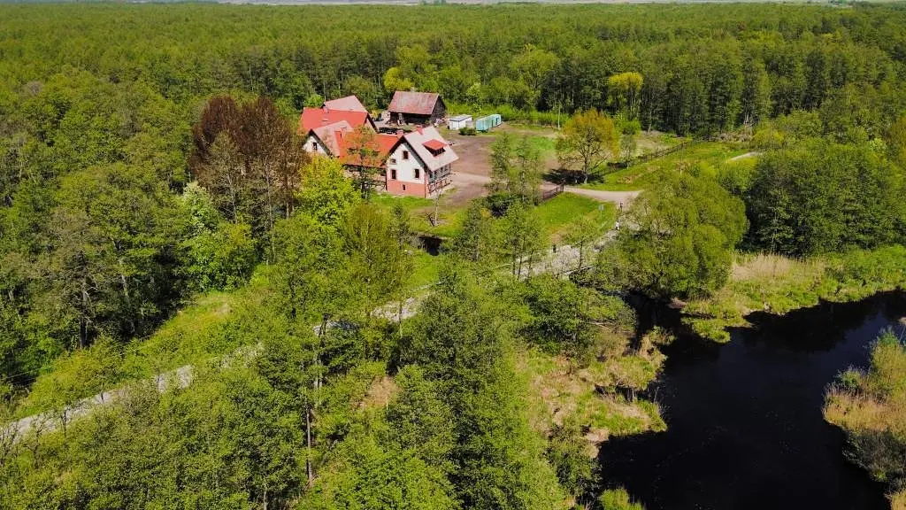 База отдыха  Лосиная долина Паит, Калининградская область: фото 2