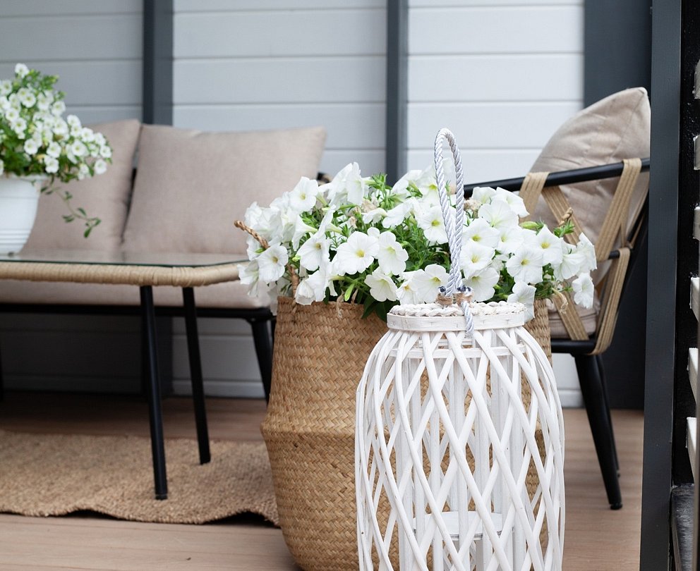 Дом 2-местный 3-комнатный (Органика)