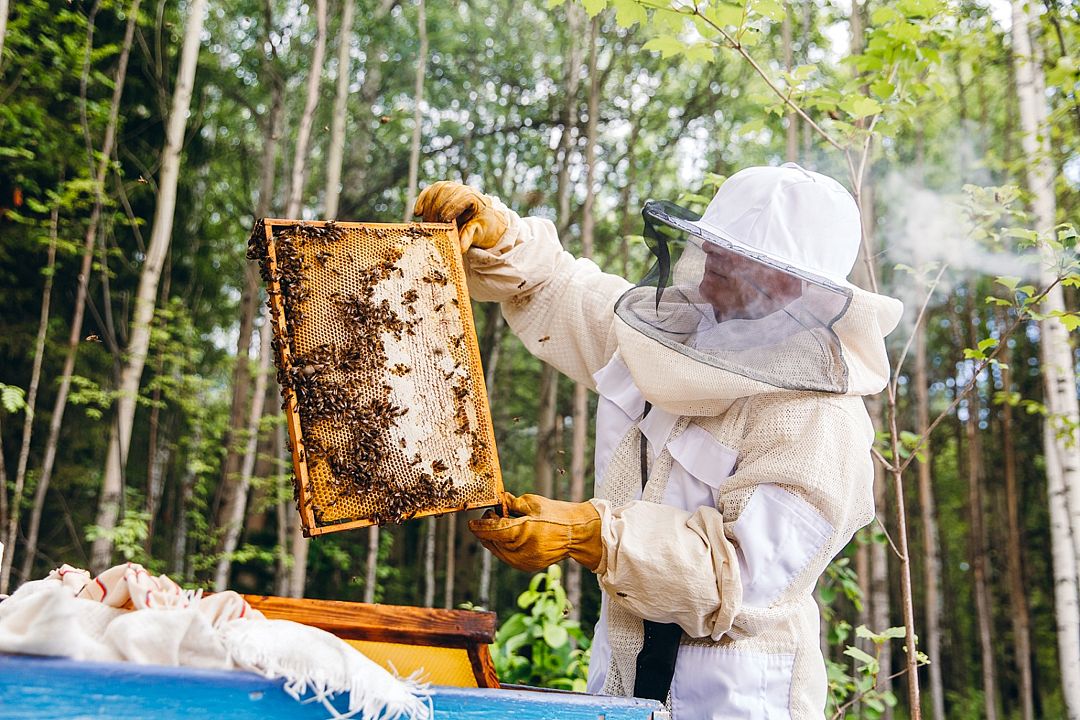 Дальний Хутор, Свердловская область: фото 5