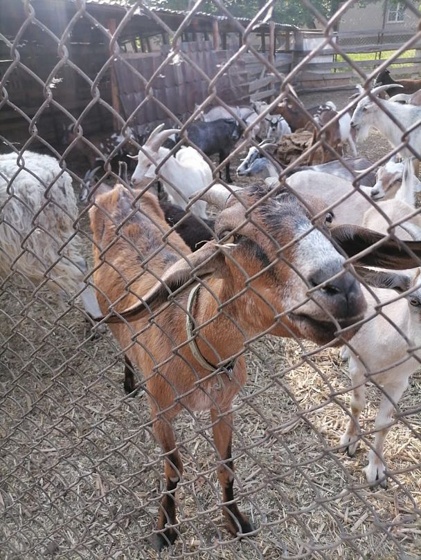 Фото 2 из отзыва о базе отдыха Донская Миля