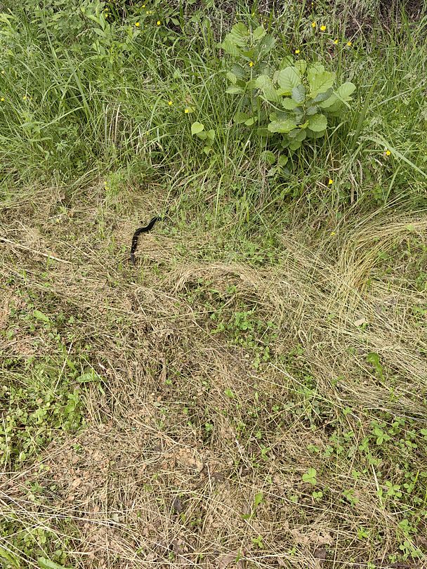 Фото 4 из отзыва о парк-отеле Чеснава