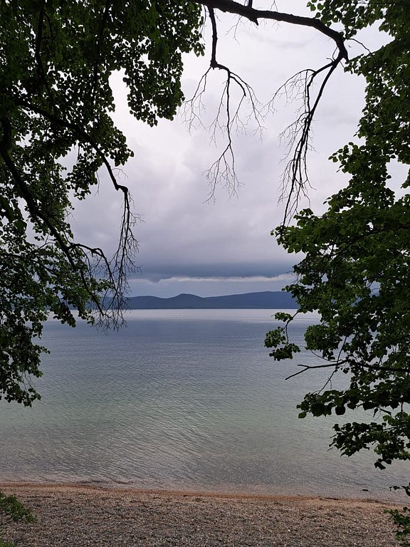 Фото из отзыва от 15.06.2025