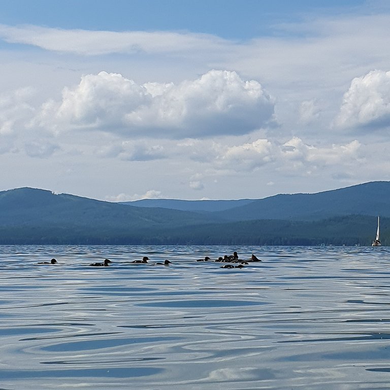 Фото из отзыва от 15.06.2025