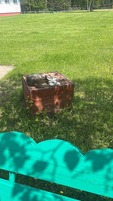 Фото из отзыва от 09.06.2025