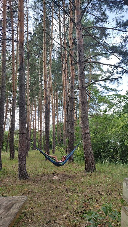 Фото из отзыва от 15.06.2025