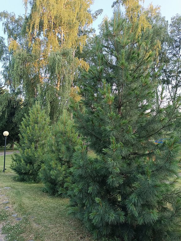 Фото из отзыва от 15.06.2025