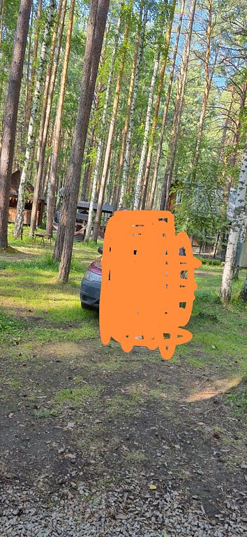 Фото из отзыва от 26.06.2025