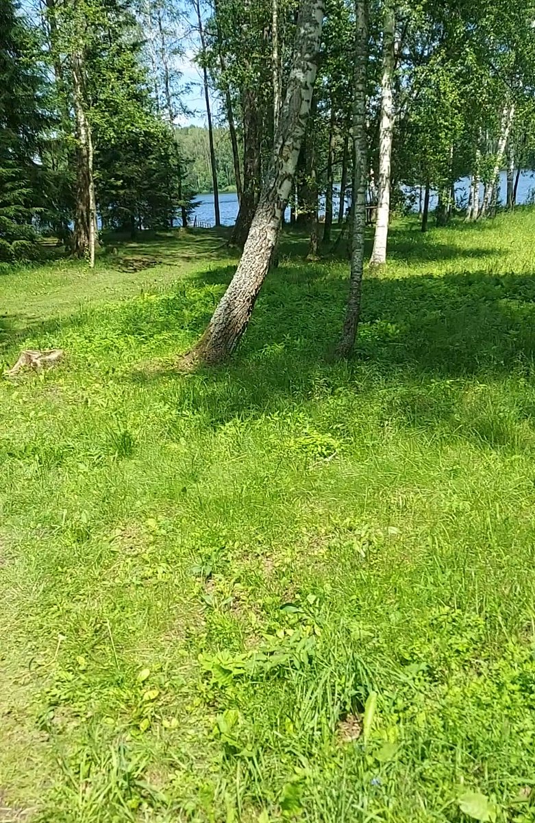 Фото 8 из отзыва о базе отдыха Серебряный Ключ