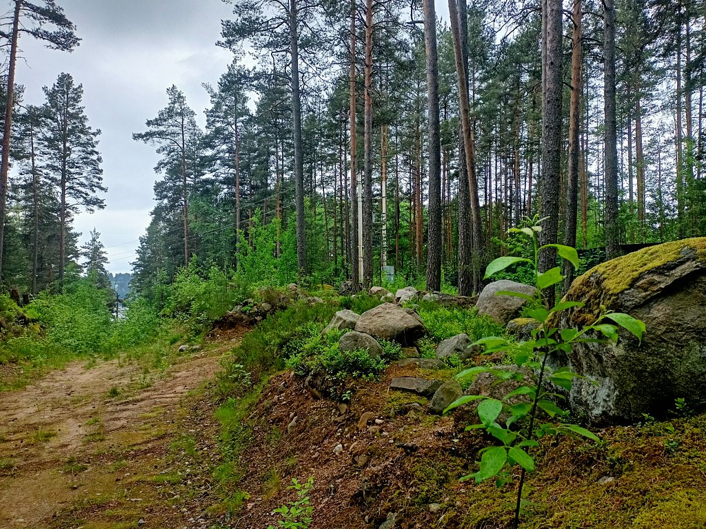 Фото из отзыва от 16.06.2025