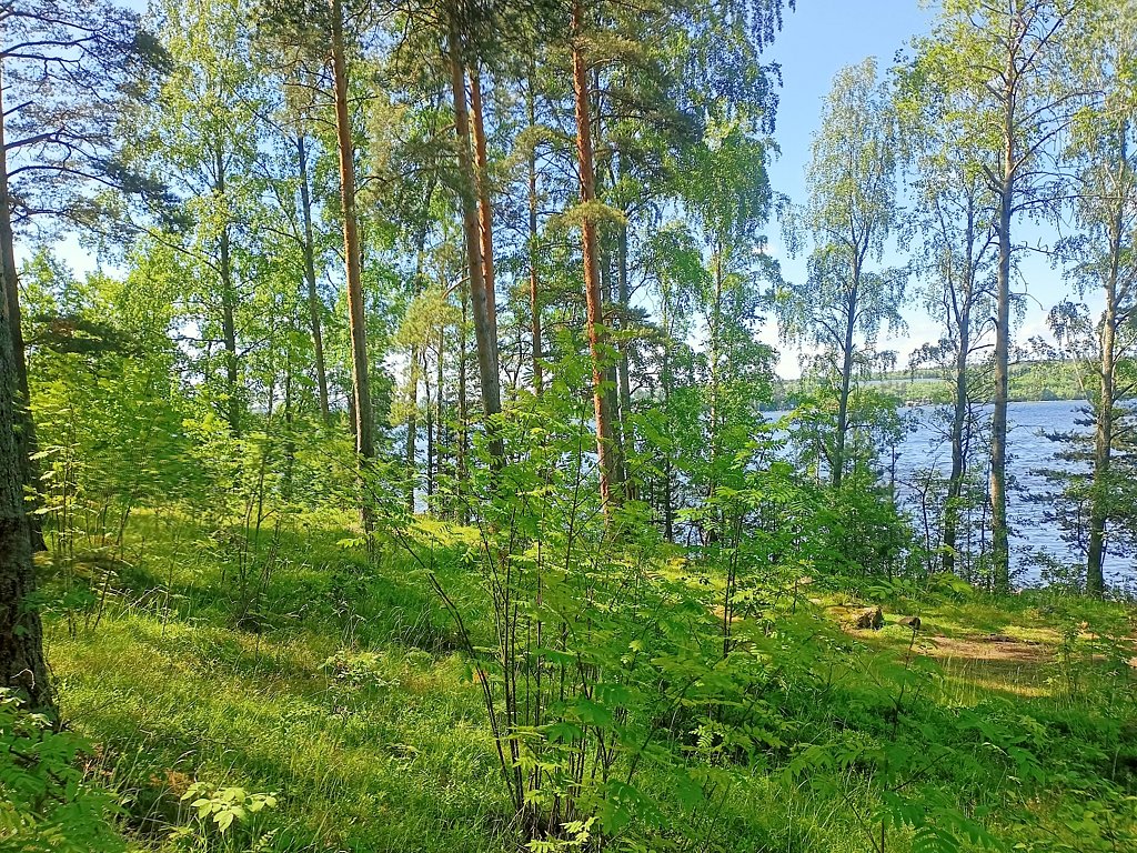 Фото из отзыва от 16.06.2025