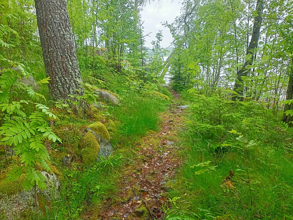 Фото из отзыва от 16.06.2025