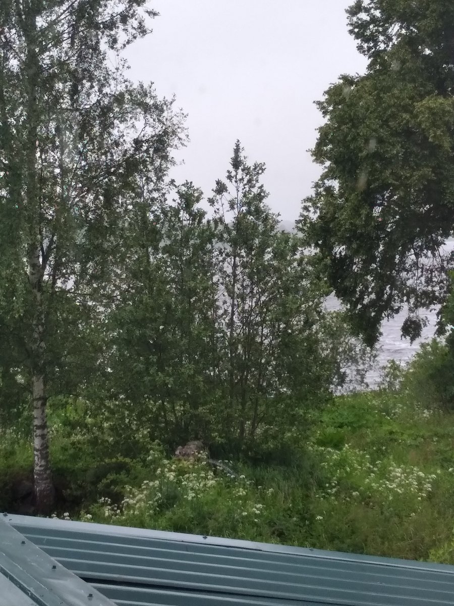 Фото 5 из отзыва о базе отдыха Стерж