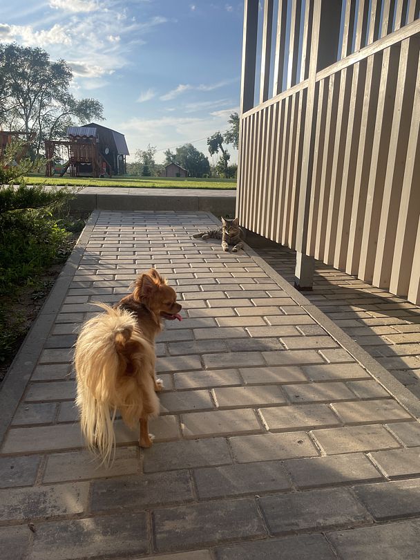 Фото 2 из отзыва о базе отдыха Донская Миля