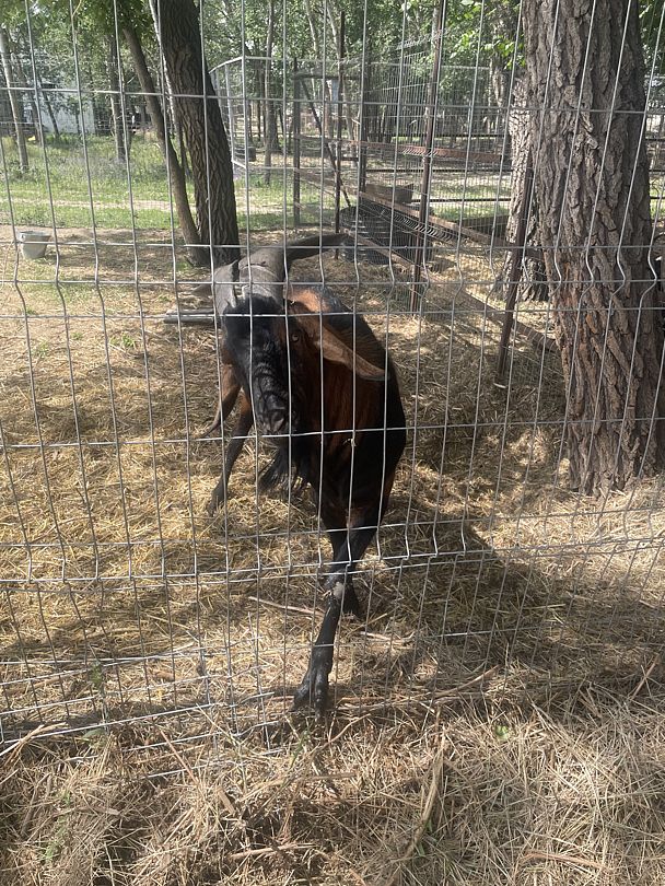 Фото 7 из отзыва о базе отдыха Донская Миля