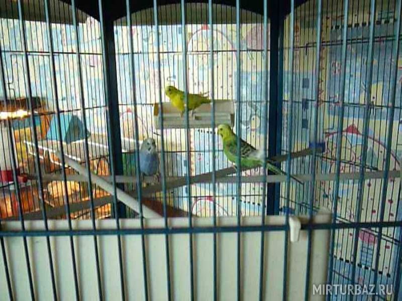 комнаты отдыха