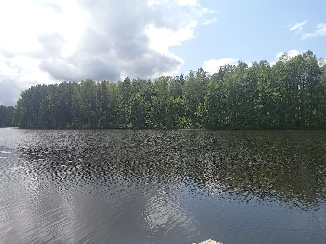 Фото 1 из отзыва о доме в аренду Колпино