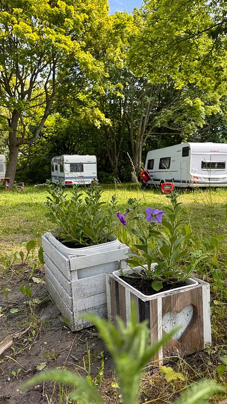 Отель 1000 звёзд, Калининградская область: фото 2