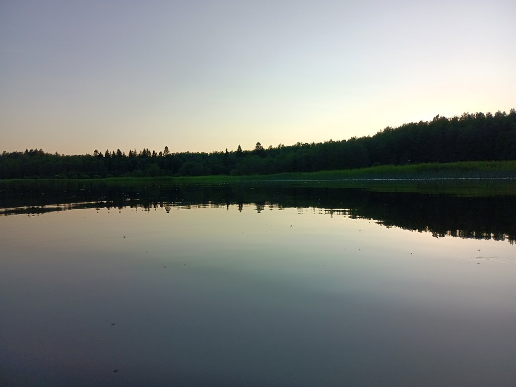 Фото из отзыва от 27.06.2025