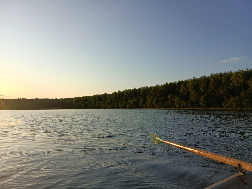 Фото из отзыва от 27.06.2025