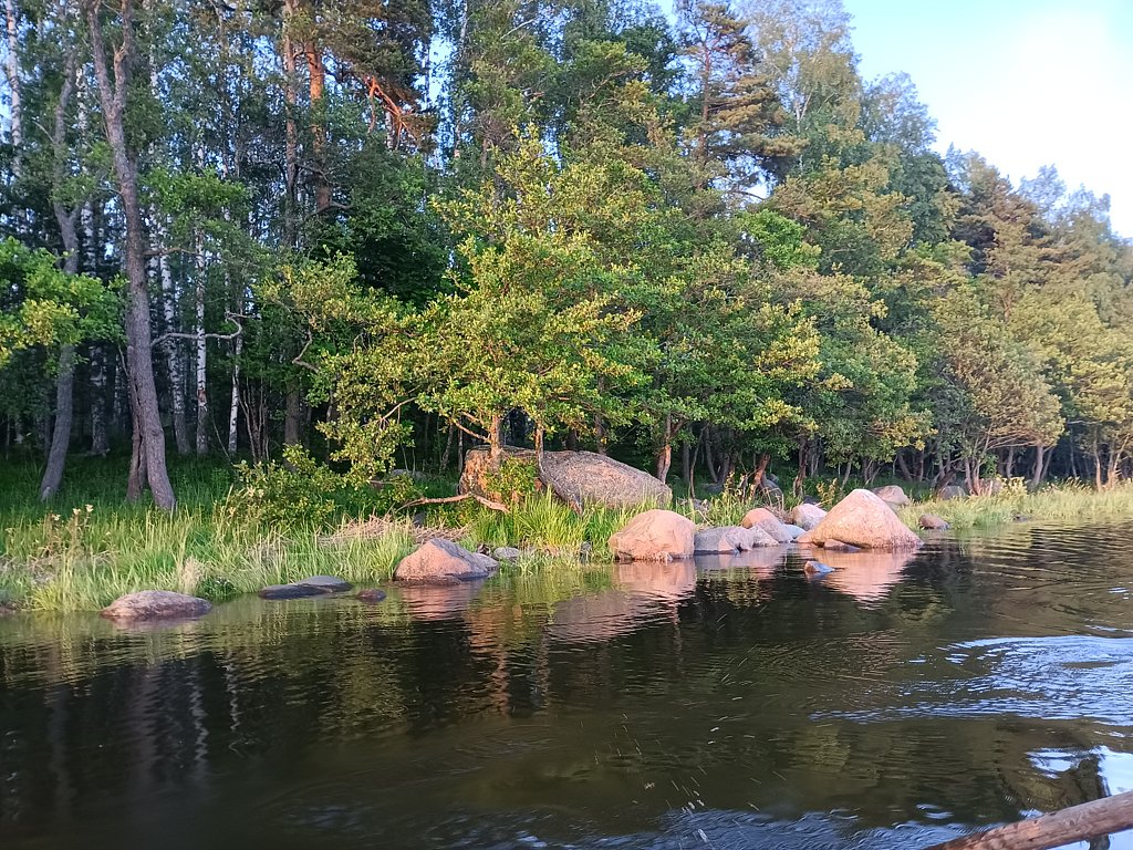 Фото из отзыва от 27.06.2025