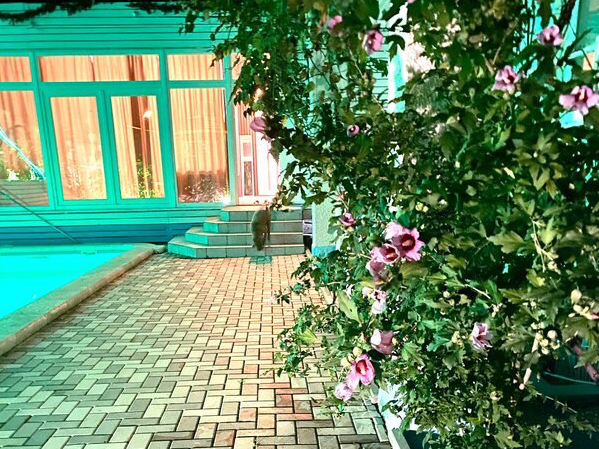 Континент, Краснодарский край: фото 2