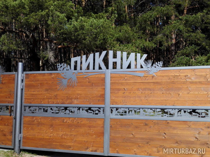 Пикник, Курская область: фото 2