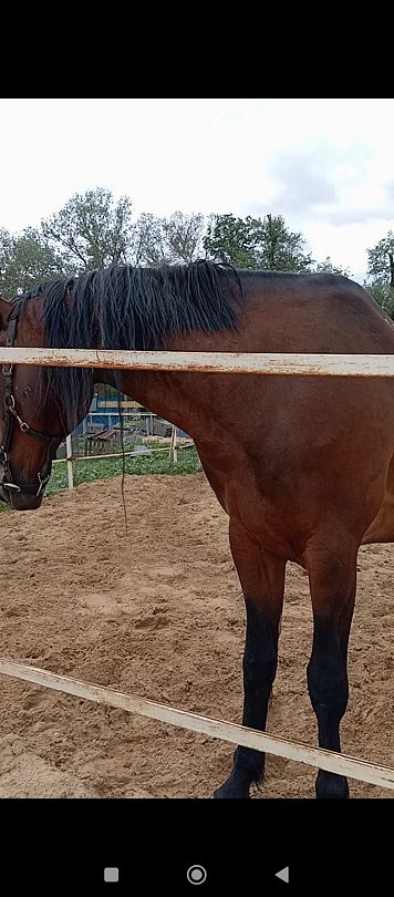 Фото 9 из отзыва о базе отдыха Донская Миля