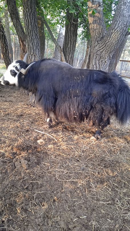 Фото 1 из отзыва о базе отдыха Донская Миля