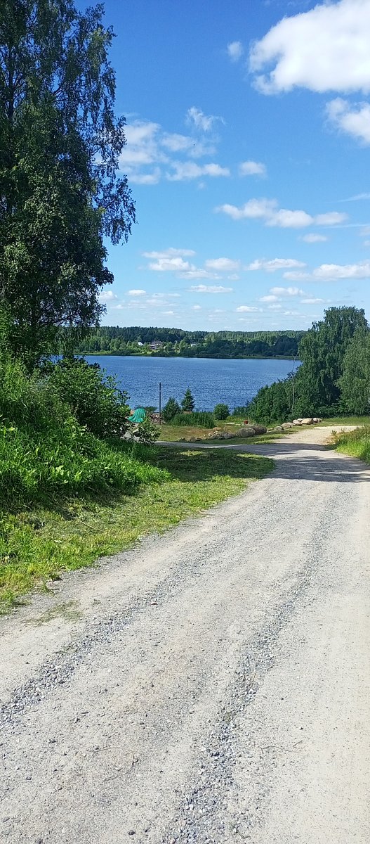 Фото 10 из отзыва о базе отдыха Солнечная