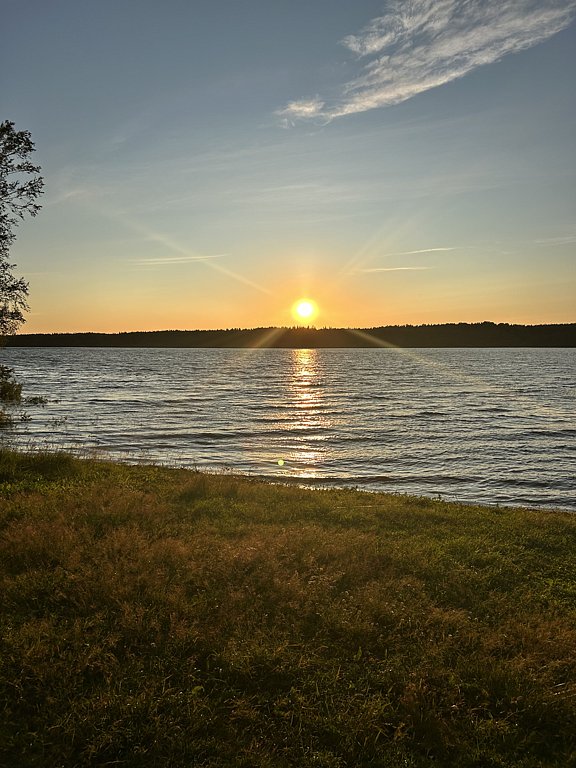 Фото из отзыва от 04.07.2025