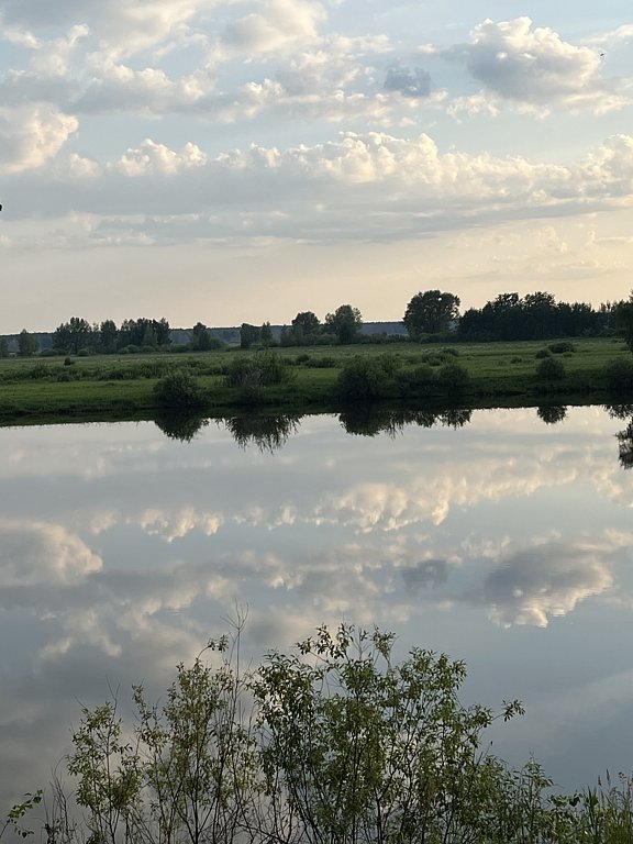 Фото из отзыва от 01.07.2025