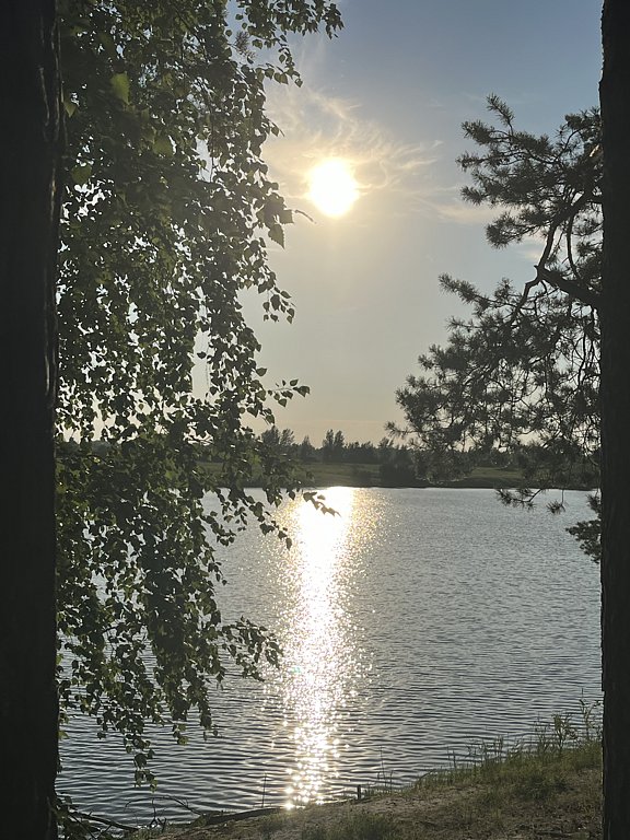 Фото из отзыва от 01.07.2025