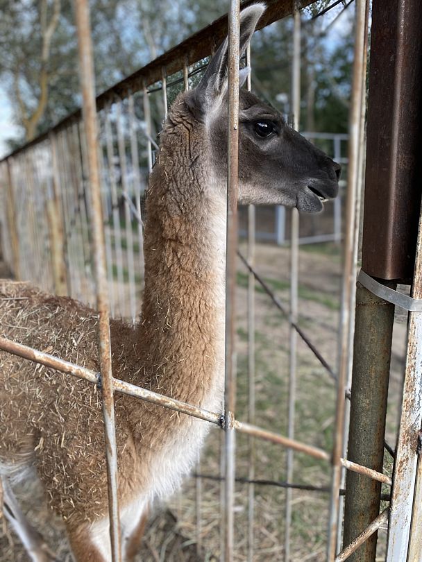Фото 1 из отзыва о базе отдыха Донская Миля