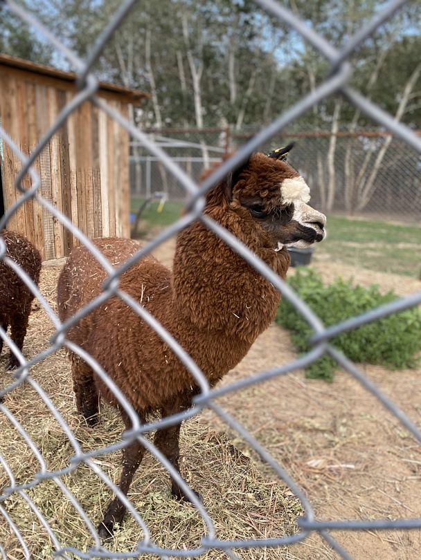 Фото 3 из отзыва о базе отдыха Донская Миля