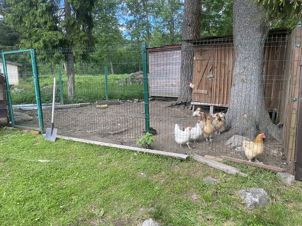 Фото из отзыва от 30.06.2025