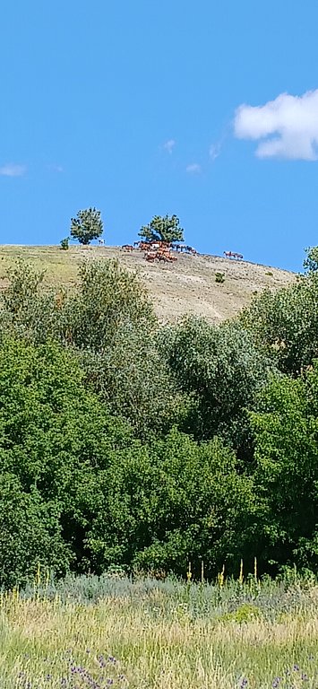 Фото из отзыва от 04.07.2025