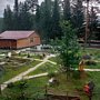 Фото 3 из отзыва о базе отдыха Светлая