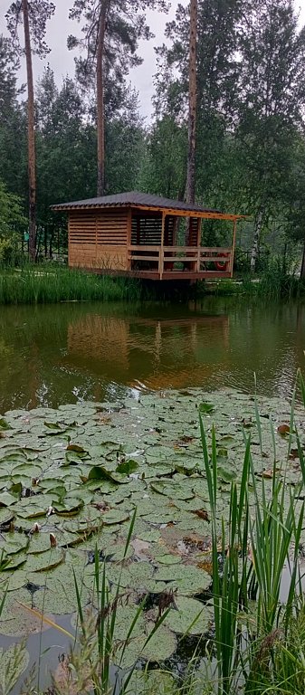 Фото из отзыва от 29.06.2025