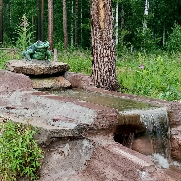 Фото из отзыва от 29.06.2025